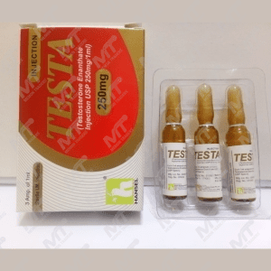 Testa Injection (Testosterone Enanthate)